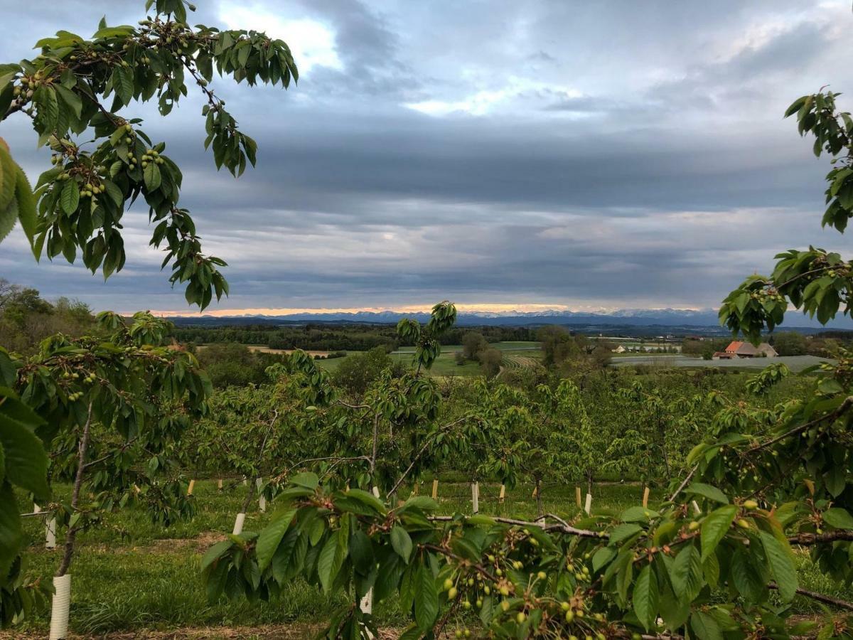 Bodensee Oberschwaben Horgenzell Zewnętrze zdjęcie